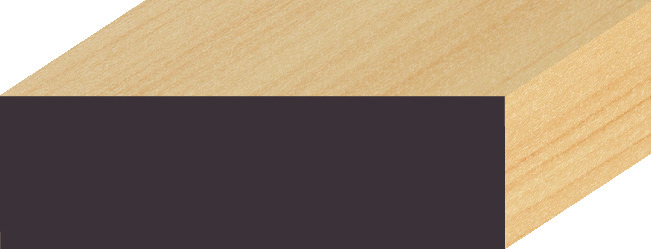 Pineページ Paragon 7